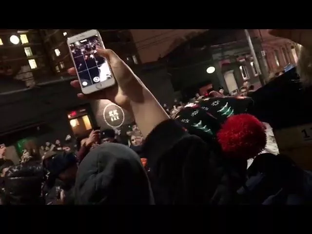 Хаски задержан в Краснодаре