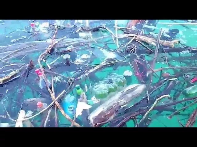 Смытые потопом в Сочи бутылки с пивом и газировкой доплыли до Геленджика