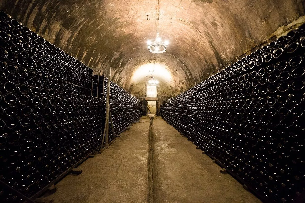 Вино из знаменитых подвалов поставлялось ко двору императорского дома. Вино из знаменитых подвалов поставлялось ко двору императорского дома.