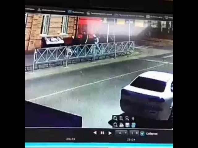 В Краснодаре украли лабрадора