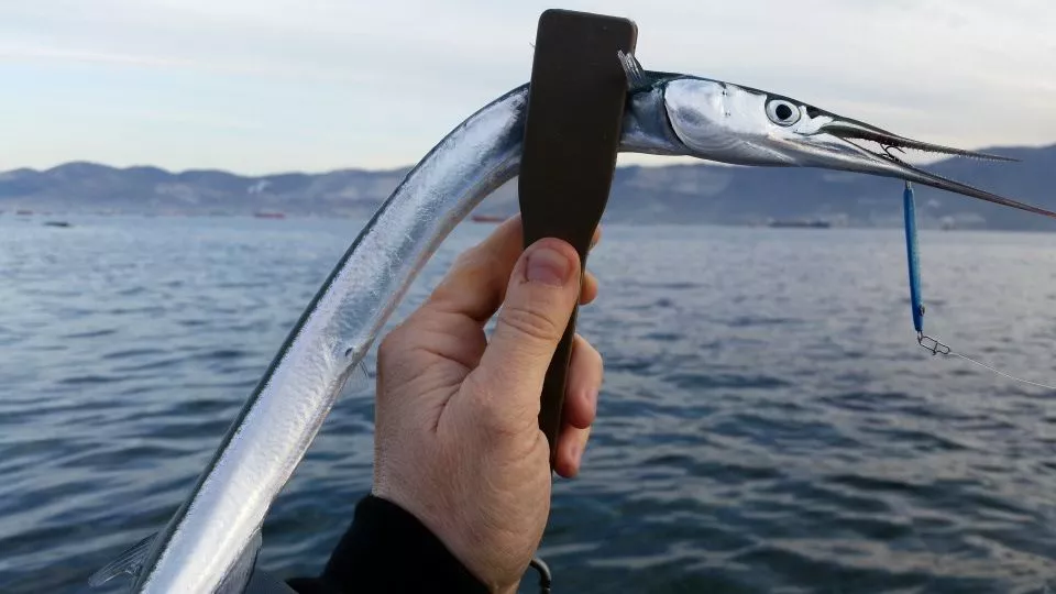 Морские трофеи