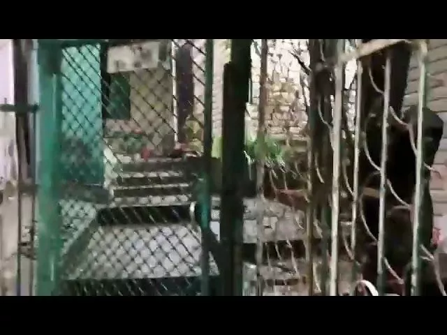 Дом в Сочи, где проживала девочка