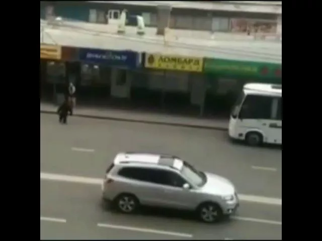 Сбежавшая обезьяна / t.me/typodar