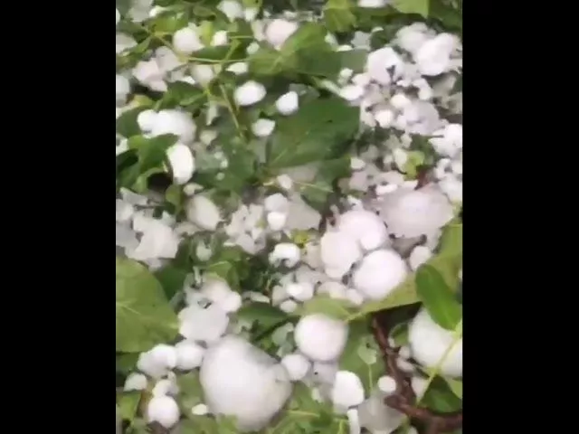 Град в Тимашевском районе 30.06.2018