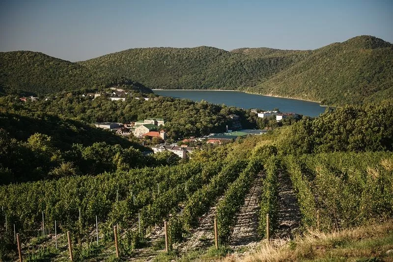 Локомотивом винотуризма стало предприятие «Абрау-Дюрсо».