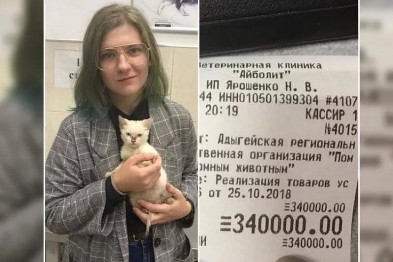 Студентка из Майкопа свои имя и фамилию скрыла.