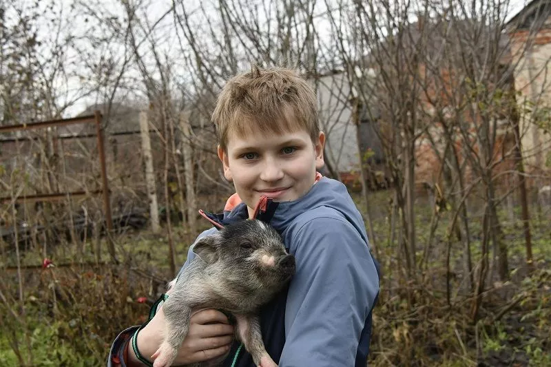 12-летний сын Леня сразу нашел путь к поросячьему сердцу. И, соответственно, желудку. 