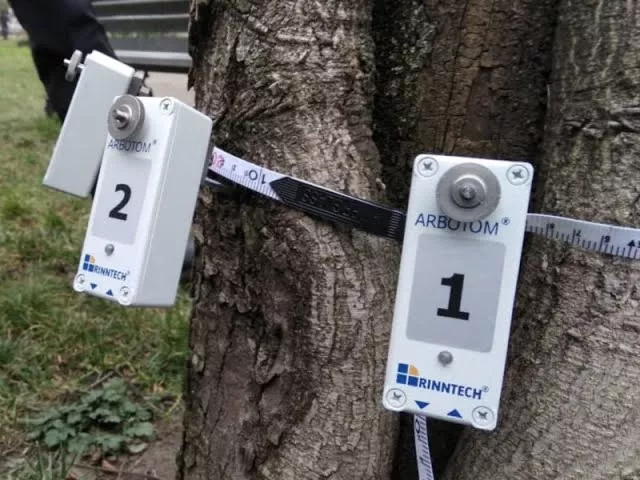 «Арботом»