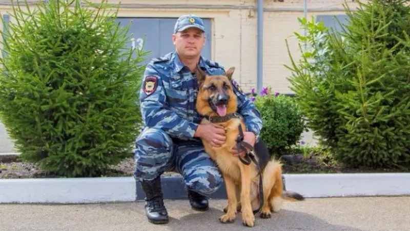 Спасенный пес получил кличку Мухтар и остался служить в полиции Спасенный пес получил кличку Мухтар и остался служить в полиции
