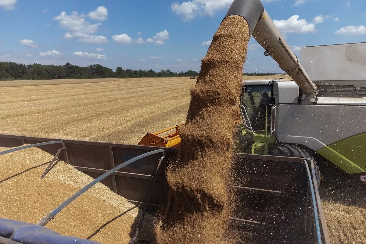 В 2024 году аграриям усть-лабинского предприятия, в том числе благодаря использованию современных технологий, удалось получить рекордный урожай озимой пшеницы. В 2024 году аграриям усть-лабинского предприятия, в том числе благодаря использованию современных технологий, удалось получить рекордный урожай озимой пшеницы.