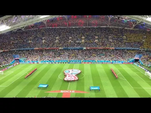 Матч ЧМ в Сочи. Германия-Швеция
