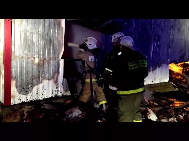 Пожар в Новокубанском районе 27.03.2019