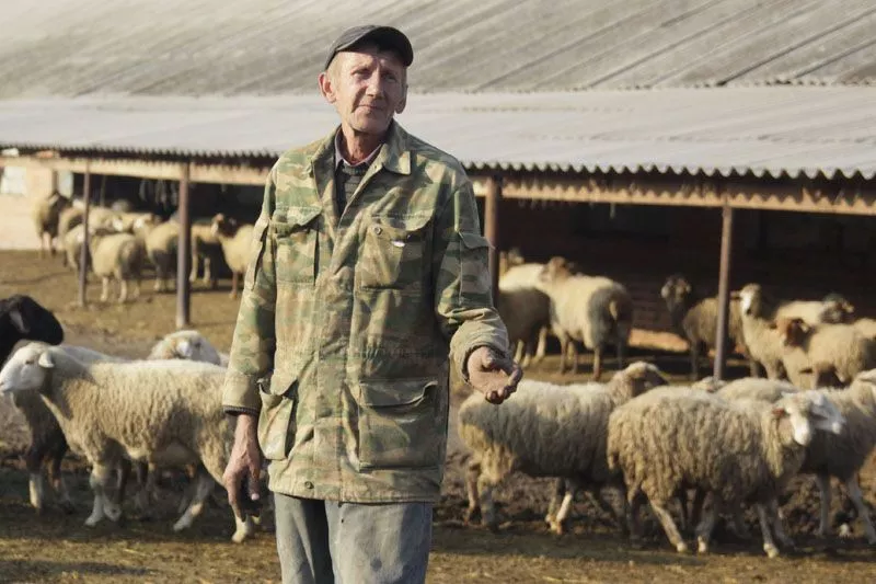 Животновод Сергей Баранов: "Поголовье фермы планомерно увеличиваем". Животновод Сергей Баранов: "Поголовье фермы планомерно увеличиваем".