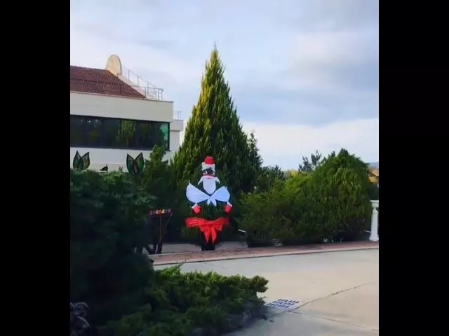 Новогодние пальмы в Сочи.