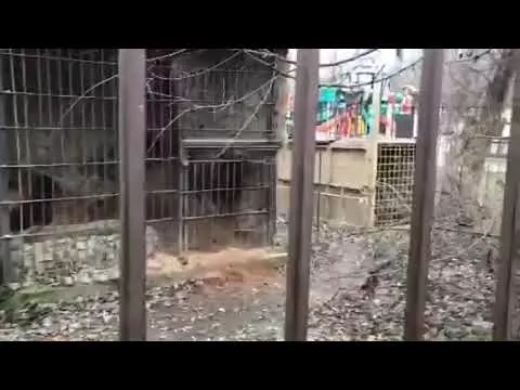 0 02 04 ff3c4987fa0cc686d9eab93b26f52de15fd15ee31bfa972a61daa1616761acb5 f0b851bb