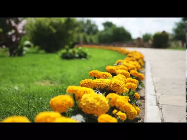 Парк Лога. Каменск-Шахтинск