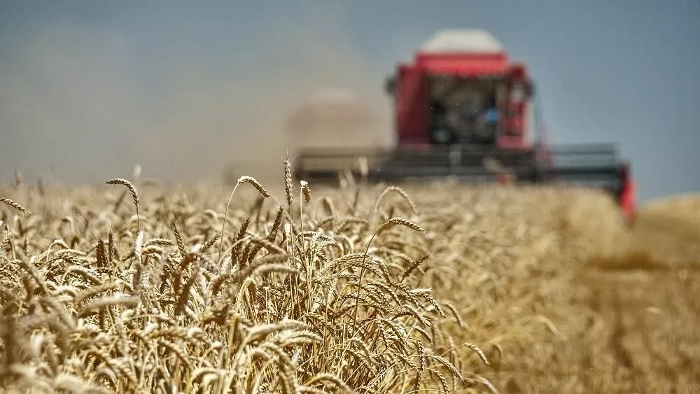 Рекордный урожай