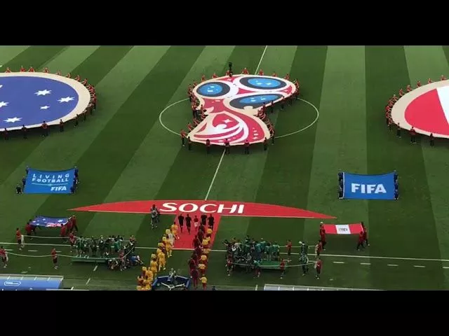 Матч ЧМ Австралия-Перу в Сочи