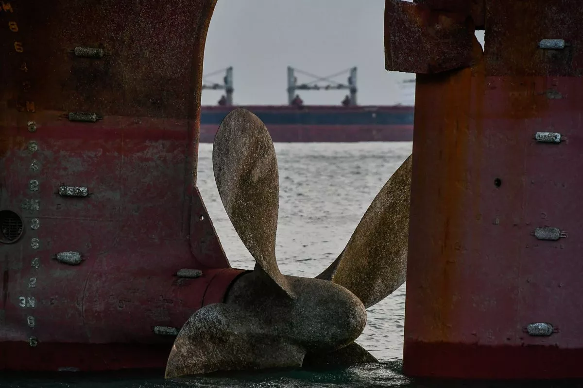 Сухогруз РИО