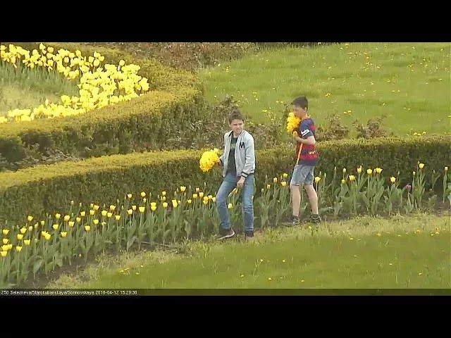 Цветочные вандалы