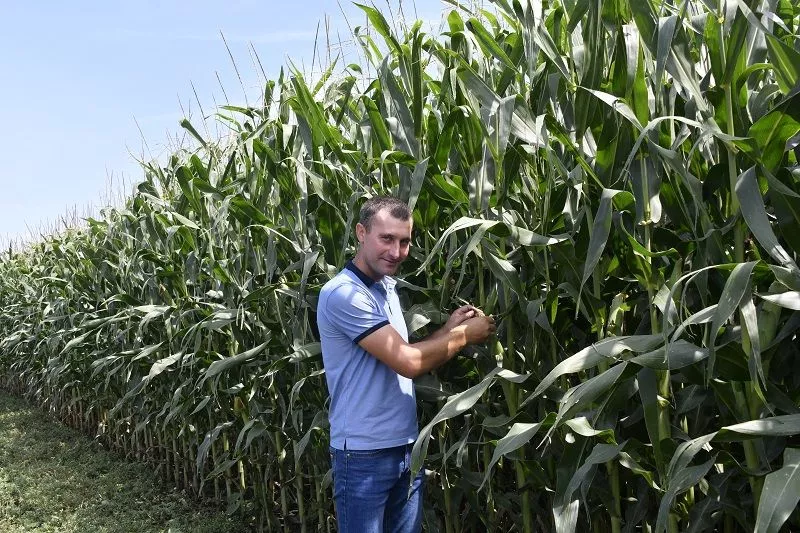 Главный агроном предприятия "Колос" Сергей Блажко Главный агроном предприятия "Колос" Сергей Блажко