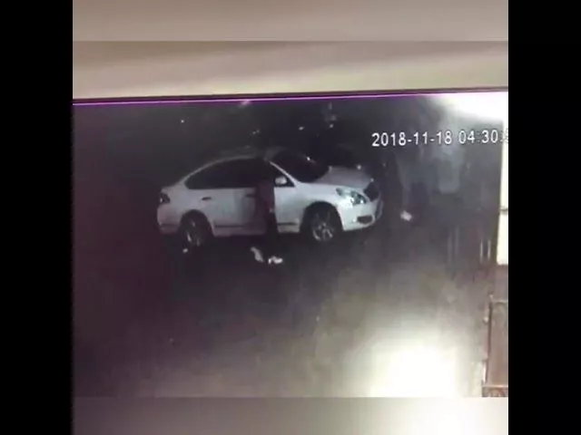 Пьяная компания избила пенсионерку в Северском районе