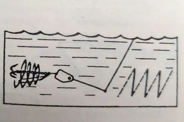 Схема зигзагообразной проводки блесны. 