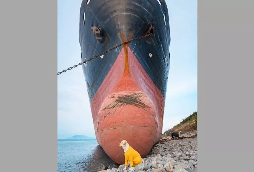 Теплоход под Кабардинкой