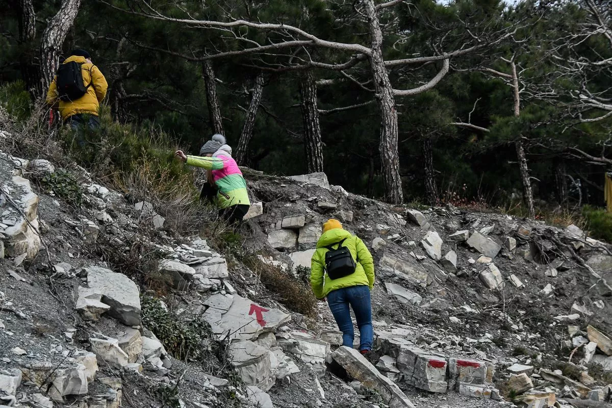 Сухогруз РИО