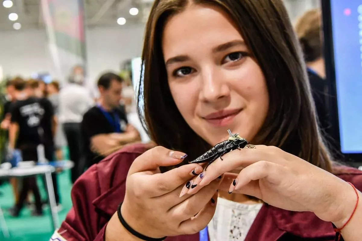 Предназначение крошечных роботов-помощников в том, чтобы пробираться в щели разрушенных зданий и обследовать территории ЧС. Предназначение крошечных роботов-помощников в том, чтобы пробираться в щели разрушенных зданий и обследовать территории ЧС.