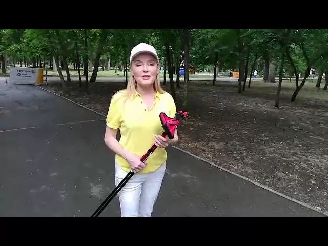 Лариса Вербицкая о футбольном чемпионате