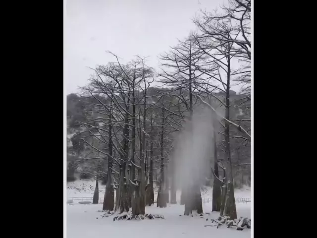 Кипарисовое озеро в Анапе в снегу
