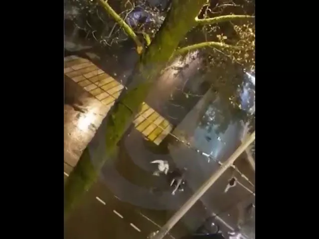 Драка в Сочи, 22 декабря