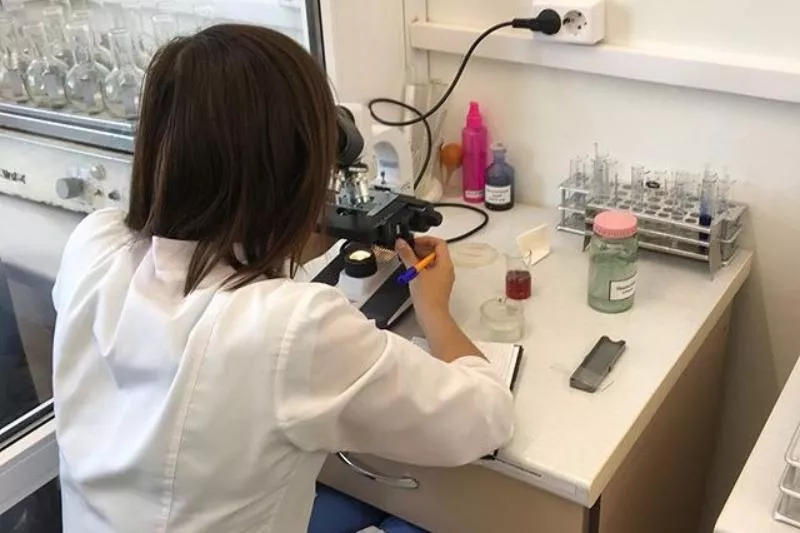 Будущие виноделы работали на разных участках производства.