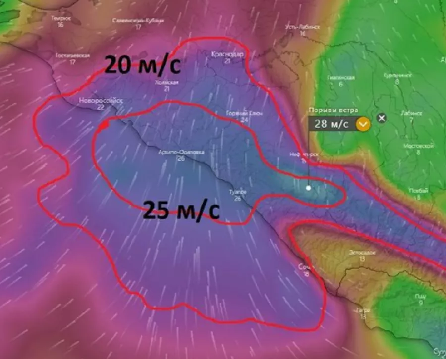 Самые сильные порывы ветра на Кубани 18 января