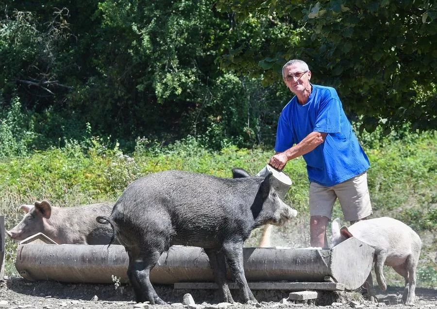Александр Тарасов