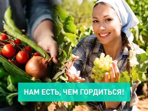 Кубань 2000 - 2018: Сельское хозяйство - территория упеха