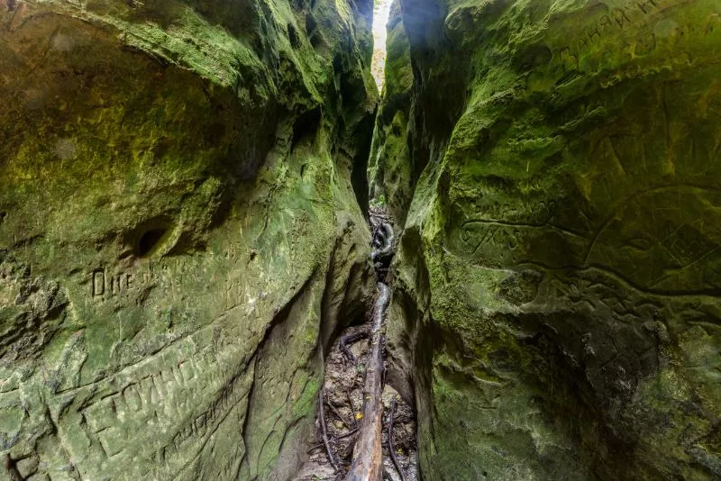 Волчьи ворота Волчьи ворота