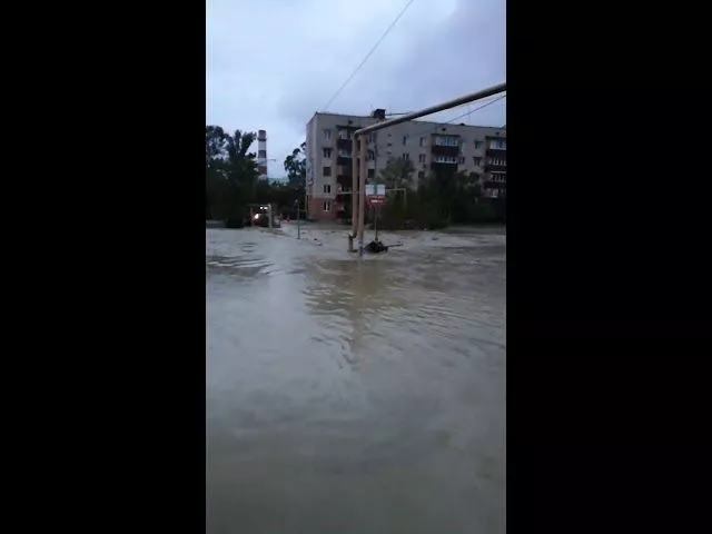 Орел-Изумруд в Сочи 25 октября