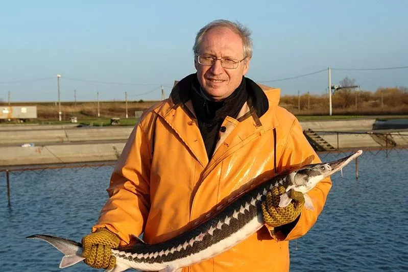 Михаил Чебанов