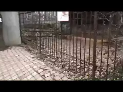 Краснодарцы жалуются на жестокое обращение с животными в «Сафари-парке»