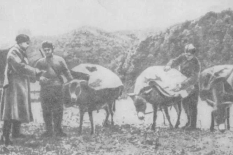 К горному переходу готовится "ишачья рота"