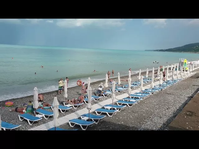 КАТАСТРОФА?! Сочинские МАЛЬДИВЫ! Пляж Дельфин. Море бирюзового цвета. Птицы и дельфины гибнут! 2022