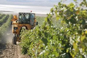 Администрация Краснодарского края стала инициатором изменения закона о виноградарстве и виноделии с целью защиты производителей вина. Администрация Краснодарского края стала инициатором изменения закона о виноградарстве и виноделии с целью защиты производителей вина.