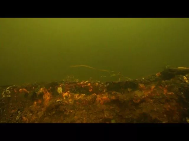 В Саратове успешно завершилась подводная экспедиция