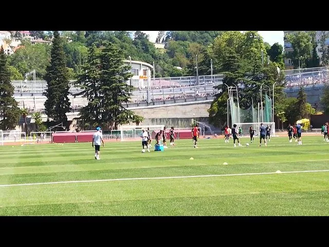 Открытая тренировка сборной Бразилии в Сочи