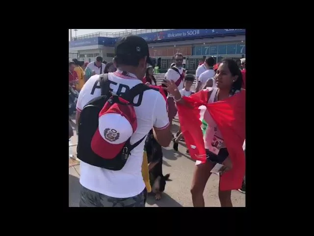 Собака Стефа в Сочи 30 июня