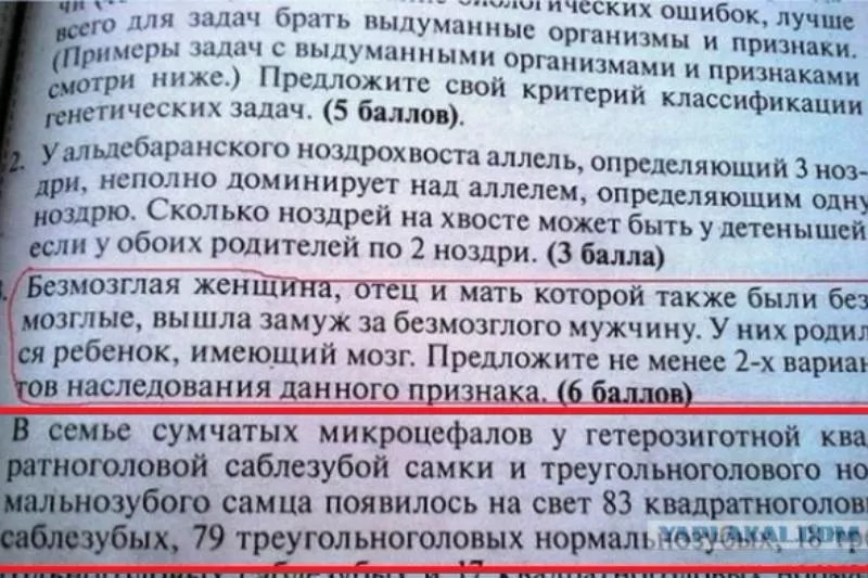 Маразмы из школьных учебников. Маразмы из школьных учебников.