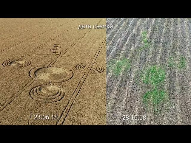 Круги на полях. Они вернулись в Краснодарский край в октябре!