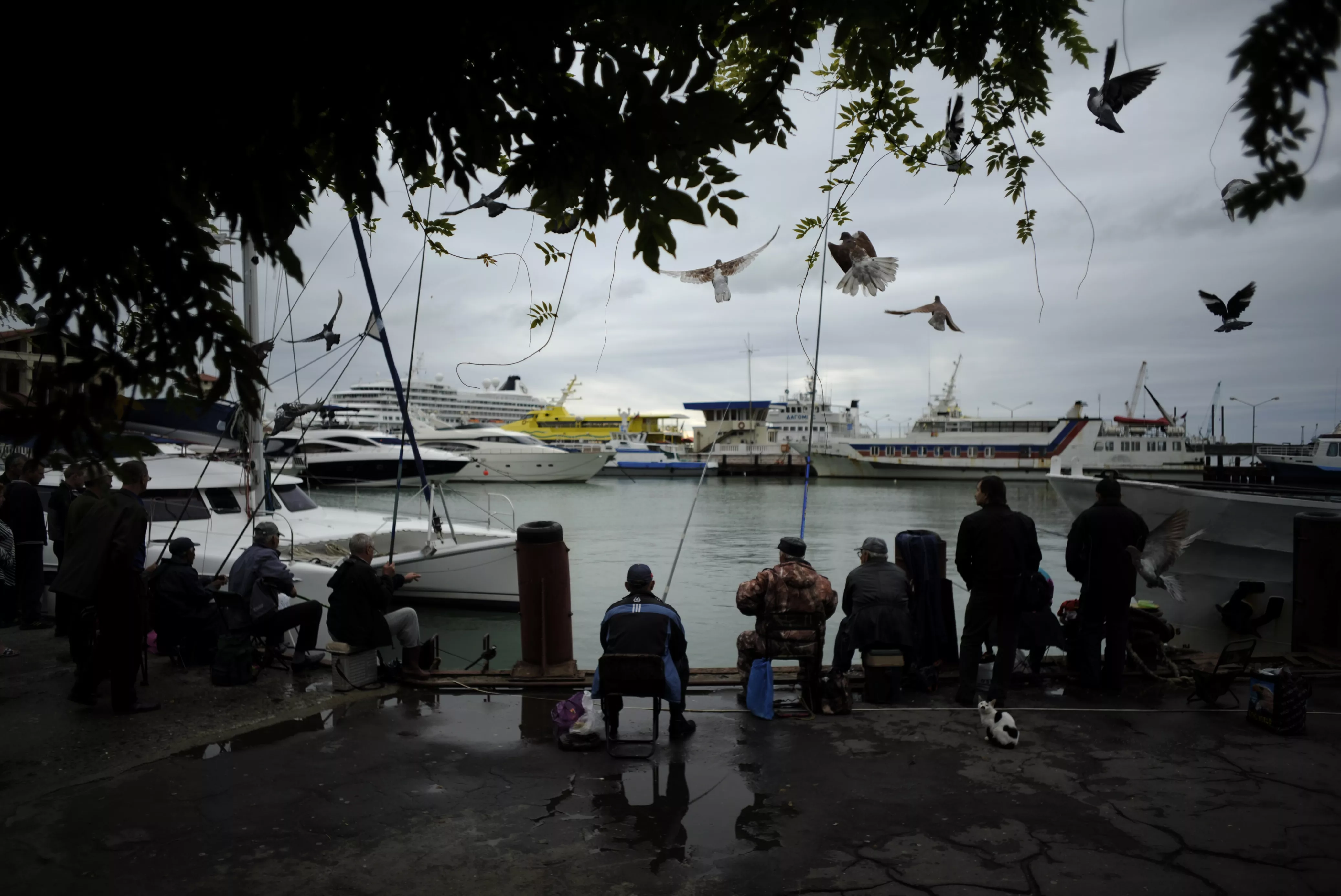 Михаил Мордасов Сочи.JPG